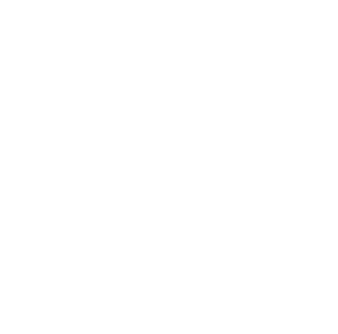 A+ Burgers
